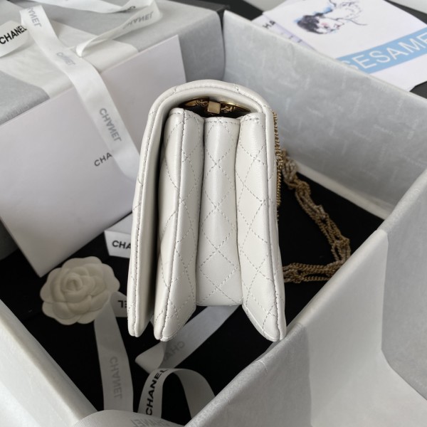  Handbag  Chanel AS3386 size 14×22×8 𝗰𝗺