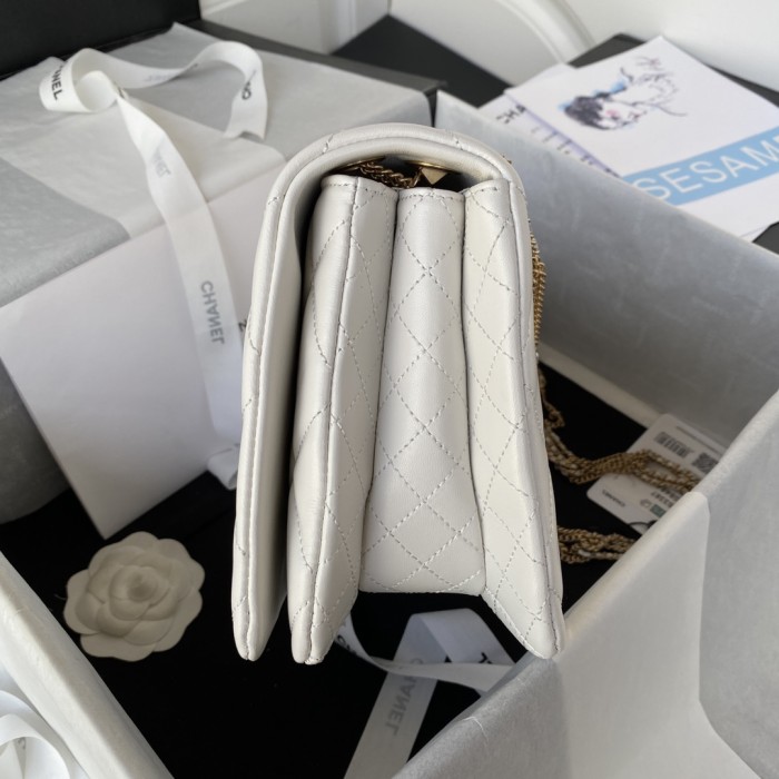  Handbag  Chanel AS3387 size 16×26×10 𝗰𝗺