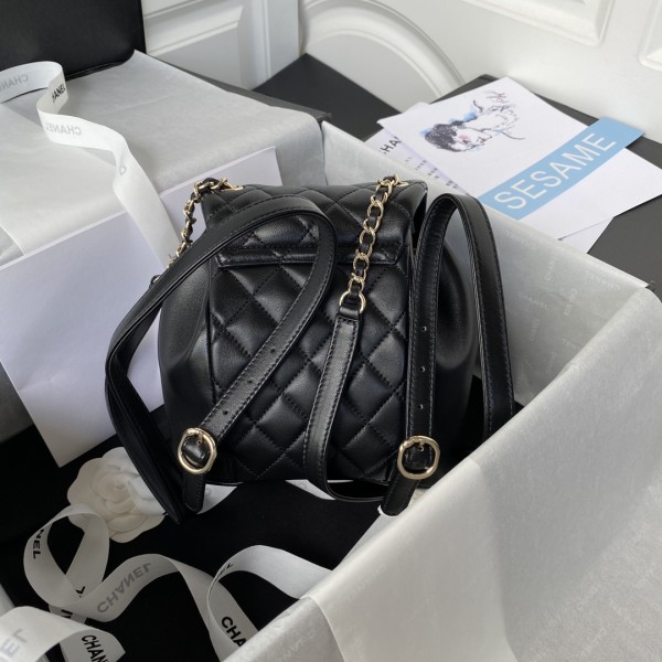  Handbag  Chanel AS2908  size  18×18×12 cm