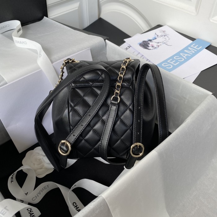  Handbag  Chanel AS2908  size  18×18×12 cm