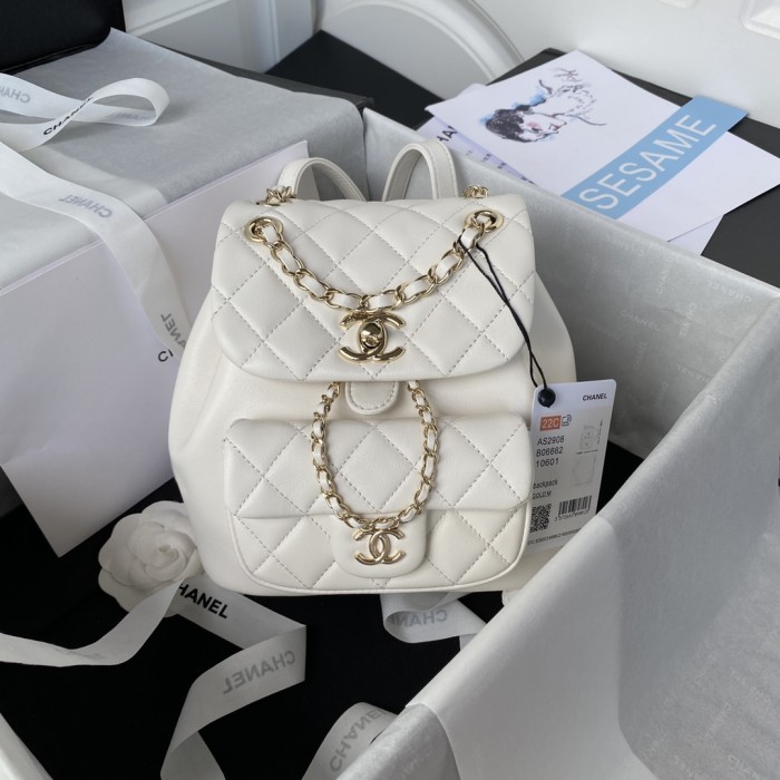  Handbag  Chanel AS2908  size  18×18×12 cm