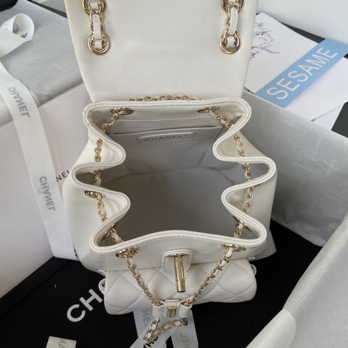  Handbag  Chanel AS2908  size  18×18×12 cm