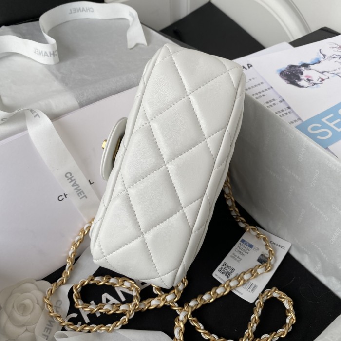  Handbag   Chanel AS3450  size 20 cm