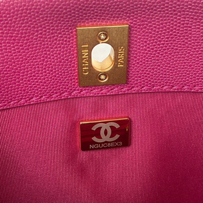  Handbag   Chanel  AS3400  size  24.5x21.5x8 cm