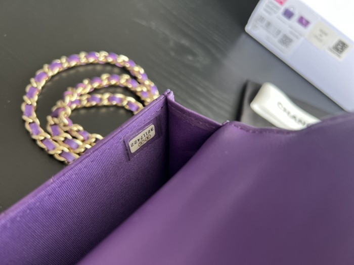  Handbag  Chanel AP2200  size  12.5cmx9.5 cm 