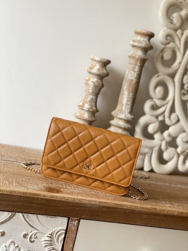  Handbag   Chanel  0250  size  19 cm