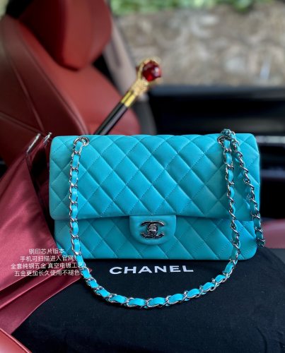  Handbag Chanel A01112  size  25.5*15.5*6.5  cm