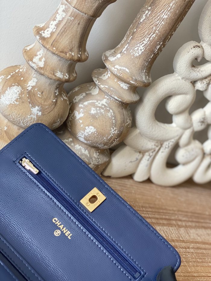  Handbag   Chanel   AP81204  size  19 cm