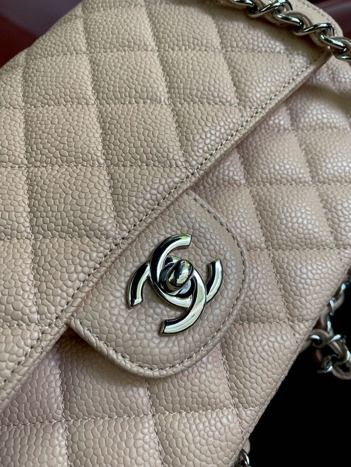  Handbag  Chanel  A01112  size  25.5*15.5*6.5  cm