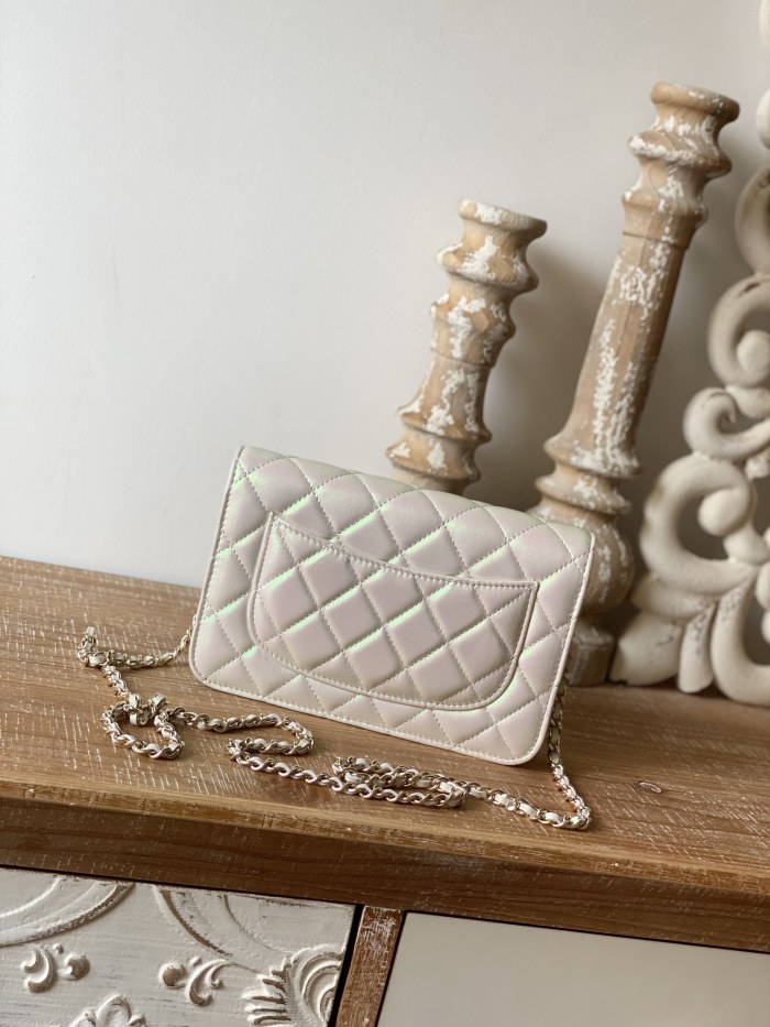  Handbag Chanel 0250  size  19 cm