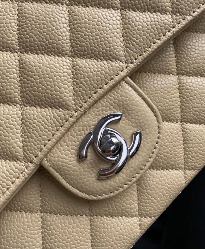 Handbag  Chanel  A01112  size  25.5*15.5*6.5 cm