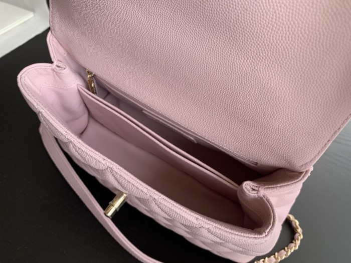  Handbag   Chanel  93925  size  24 cm