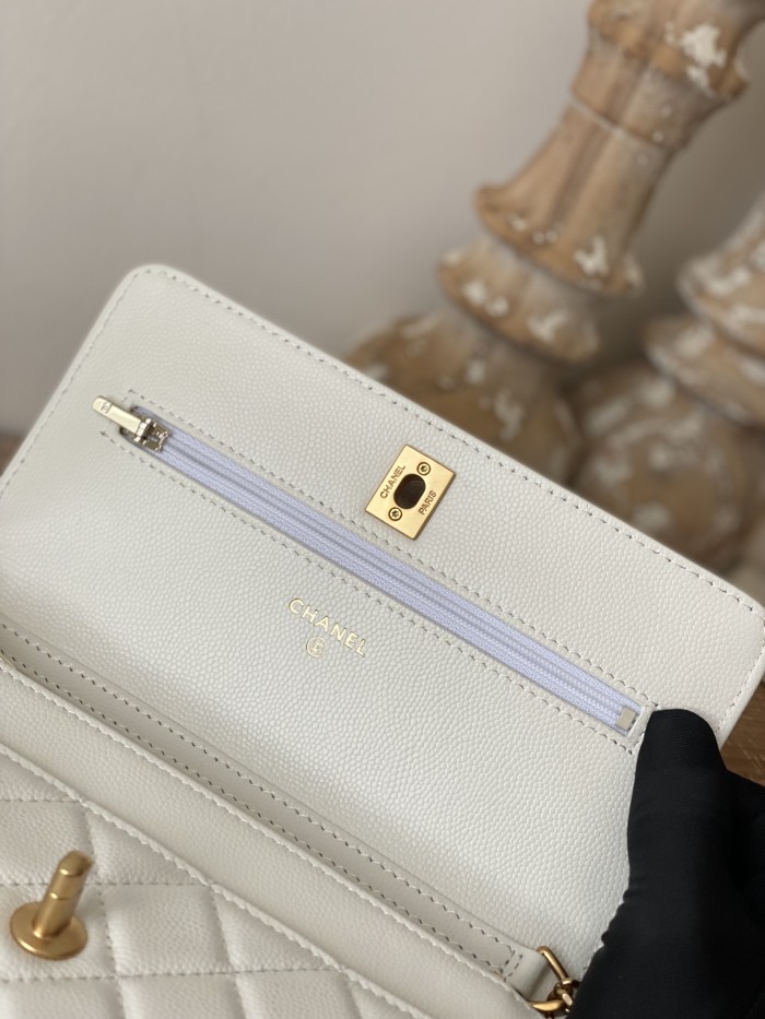  Handbag  Chanel  AP81204  size 19 cm