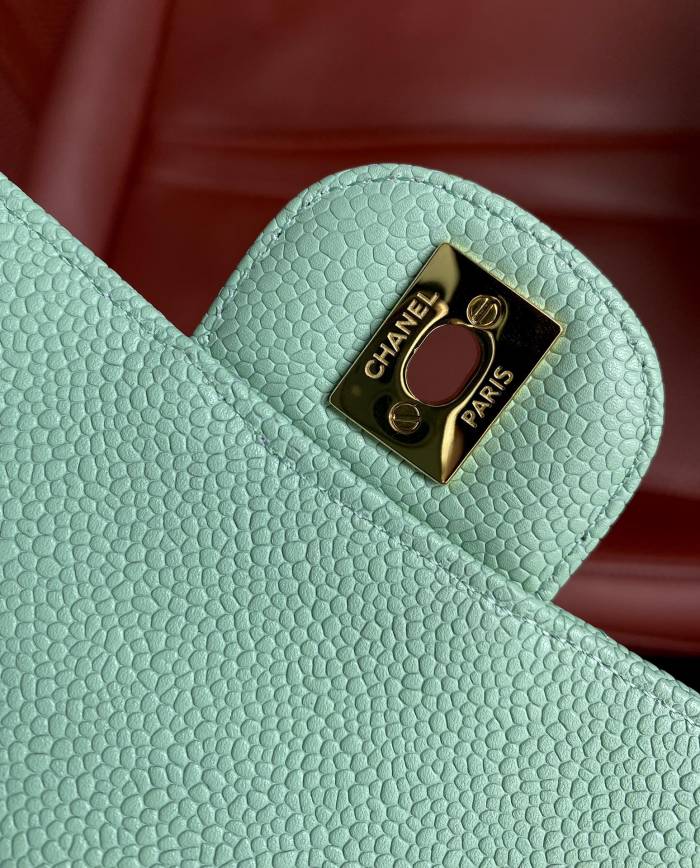  Handbag  Chanel A01112  size  25.5*15.5*6.5  cm