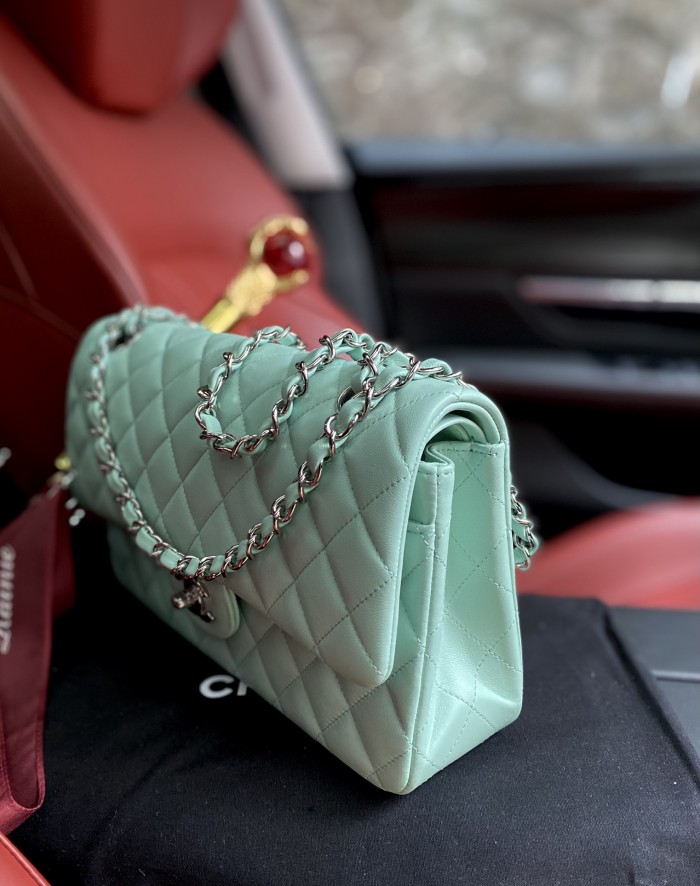  Handbag   Chanel A01112  size  25.5*15.5*6.5 cm