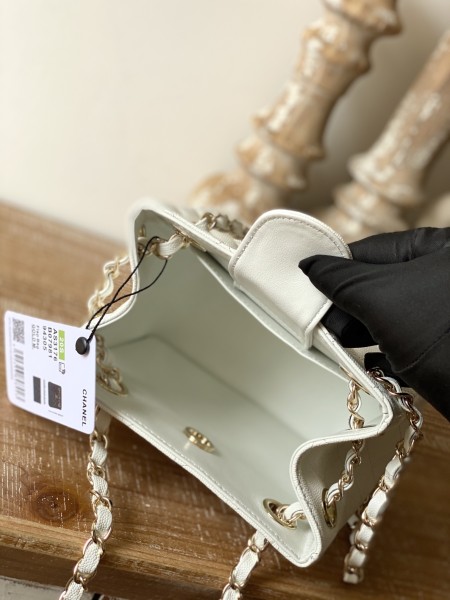  Handbag  Chanel  AS3176 size  16X15X9 cm