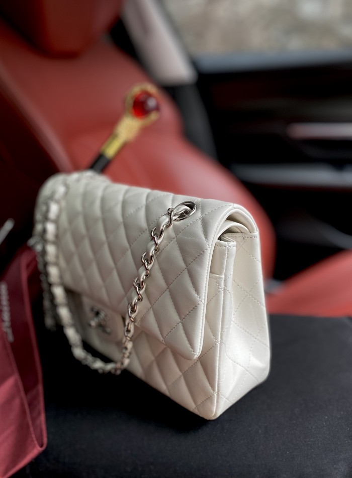  Handbag Chanel A01112  size  25.5*15.5*6.5  cm