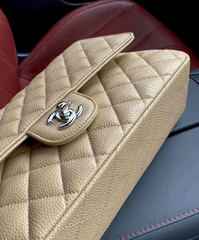 Handbag  Chanel  A01112  size  25.5*15.5*6.5 cm