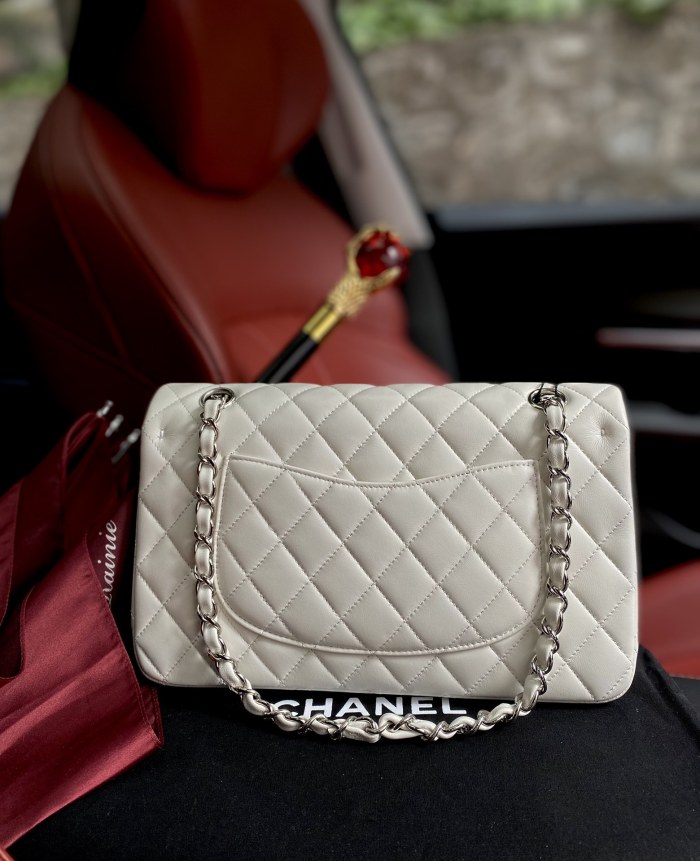 Handbag Chanel A01112  size  25.5*15.5*6.5  cm