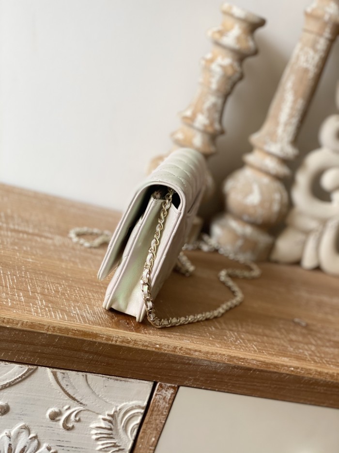  Handbag Chanel 0250  size  19 cm