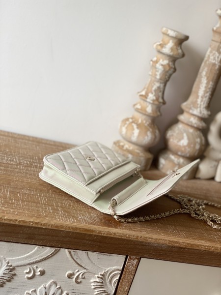  Handbag Chanel 0250  size  19 cm