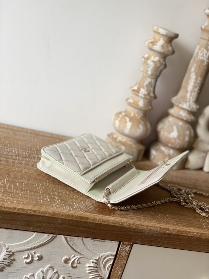  Handbag Chanel 0250  size  19 cm