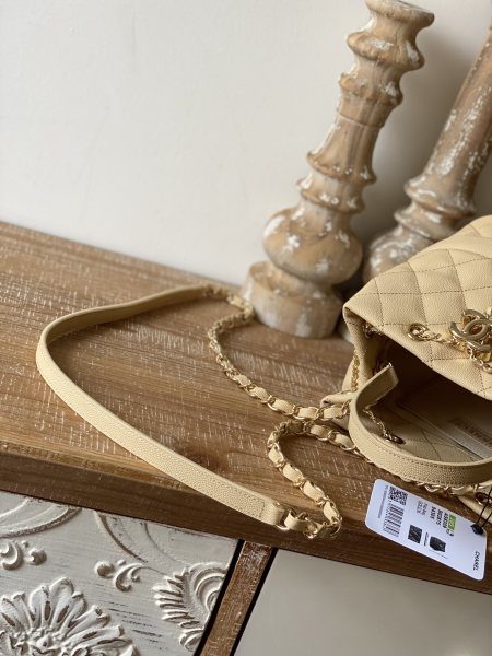  Handbag   Chanel   8309  size  20 cm