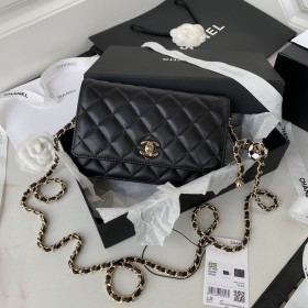  Handbag  Chanel AP1450  size  19 cm