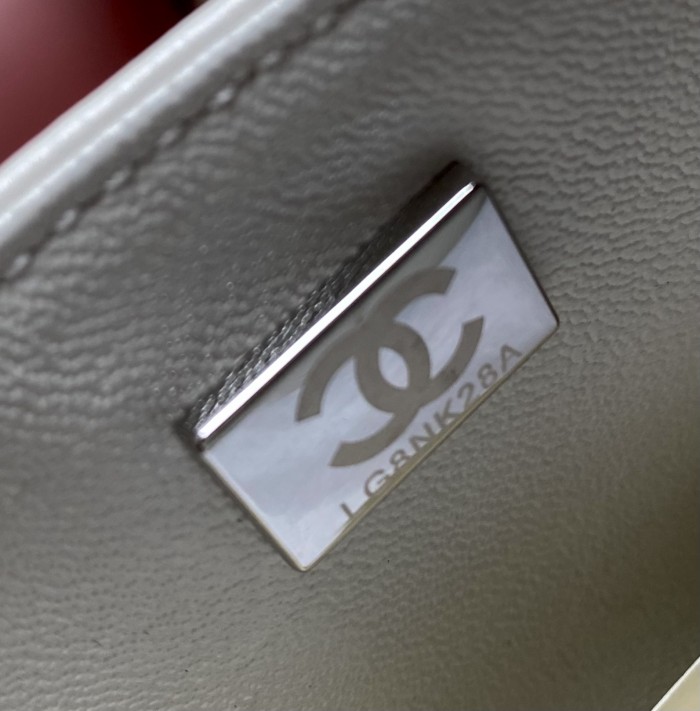  Handbag Chanel A01112  size  25.5*15.5*6.5  cm