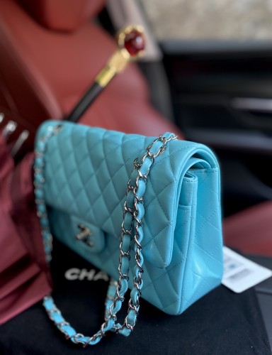  Handbag Chanel A01112  size  25.5*15.5*6.5  cm