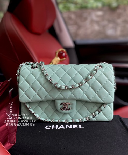  Handbag   Chanel A01112  size  25.5*15.5*6.5 cm