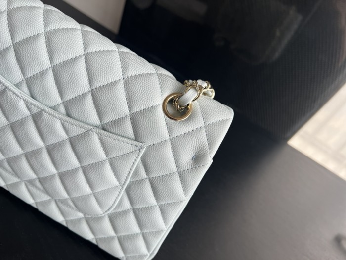  Handbag Chanel  size 25 cm