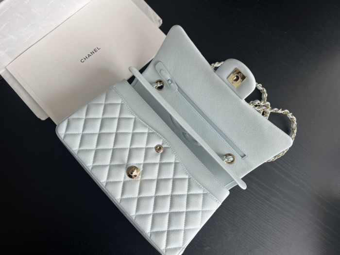  Handbag Chanel  size 25 cm