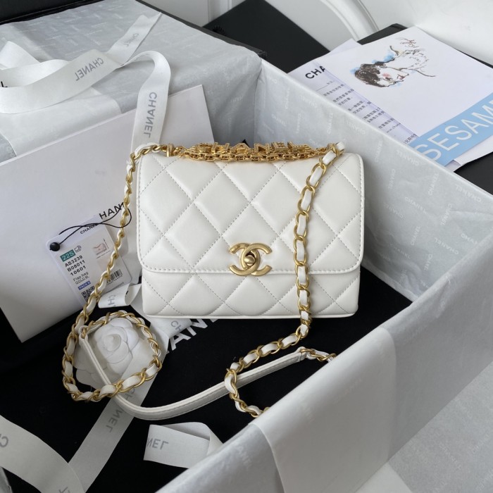  Handbag  Chanel  AS3239 size  18*𝟭3*6 𝗰𝗺
