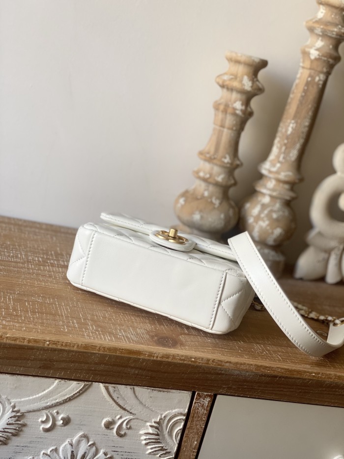  Handbag   Chanel  As3109  size  19*14*6 cm