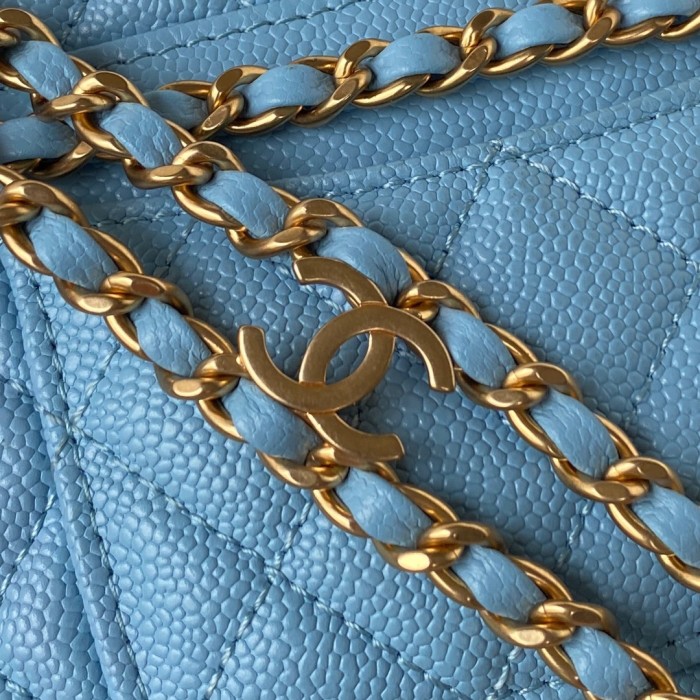  Handbag   Chanel AS3225  size  12*17.5*2.5 cm