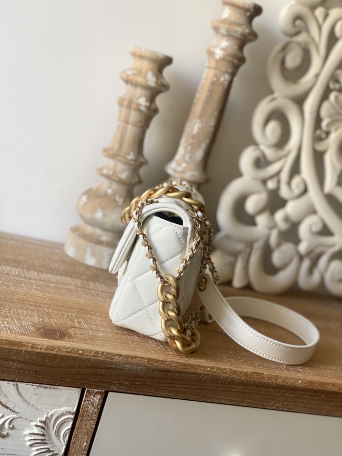  Handbag   Chanel  As3109  size  19*14*6 cm