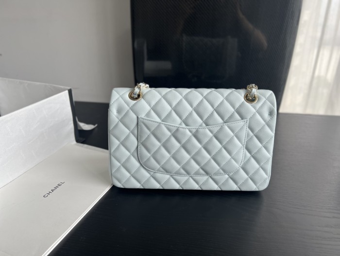  Handbag Chanel  size 25 cm