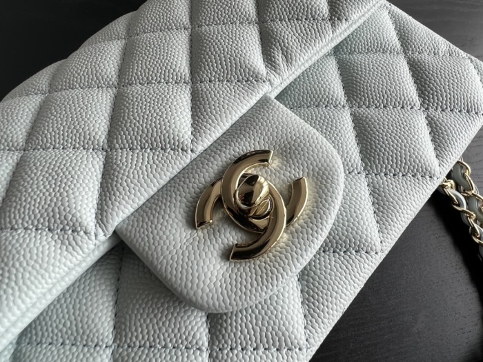  Handbag Chanel  size  20 cm
