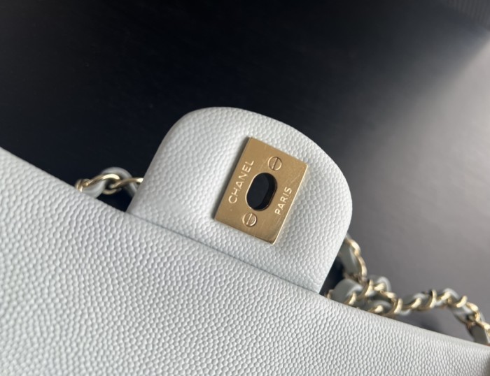  Handbag Chanel  size 25 cm