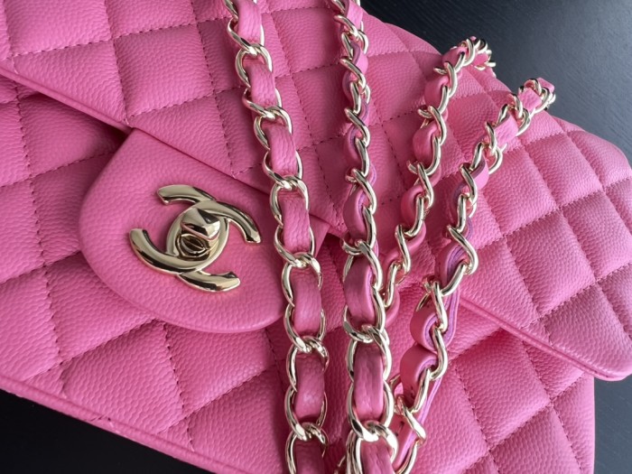  Handbag   Chanel   size  25  cm