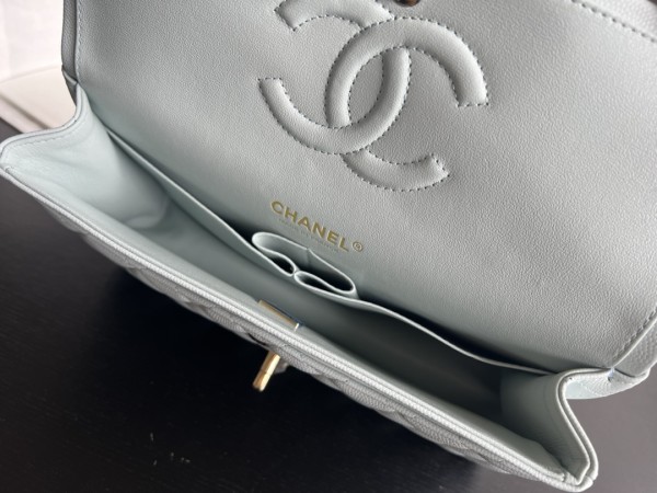  Handbag Chanel  size 25 cm