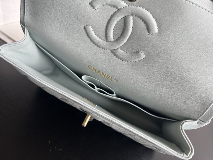  Handbag Chanel  size 25 cm
