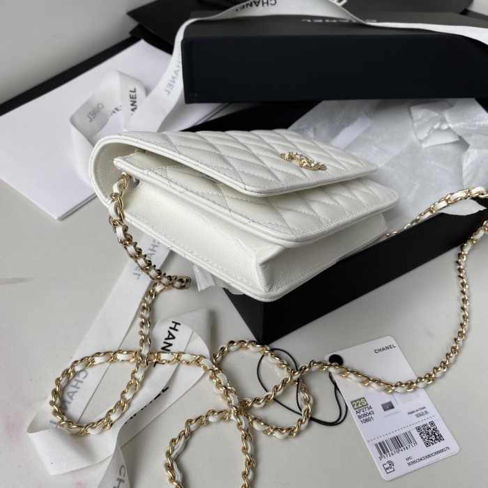  Handbag   Chanel AP2734 size 19.2*12.3*3.5 cm