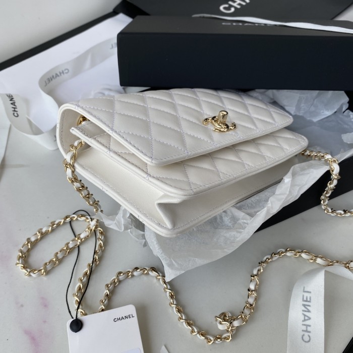  Handbag  Chanel  size  12.3x19.2x3.5 cm