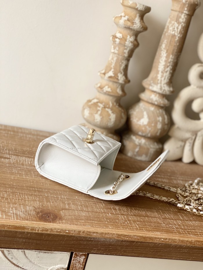  Handbag   Chanel  88631  size  11 11 5 cm