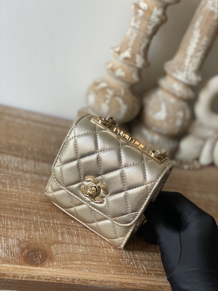  Handbag   Chanel 88631  size  11 11 5 cm