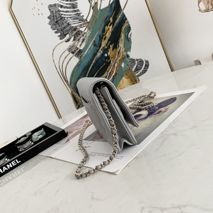  Handbag  Chanel 0250  size  19 cm 