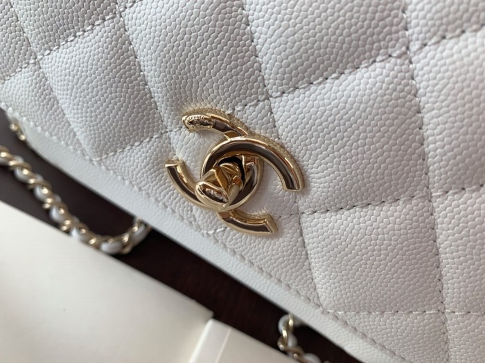  Handbag  Chanel  A93067 size  20 cm