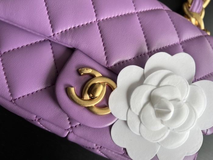 Handbag  Chanel  size  20 cm